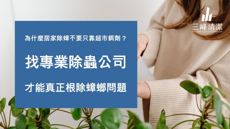 【完整指南】為什麼居家除蟑不要只靠超市餌劑？找專業除蟲公司，才能真正根除蟑螂問題